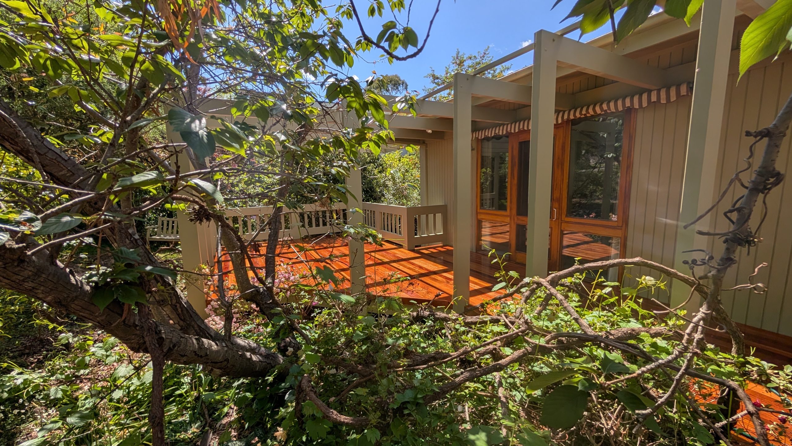 Established home with timber pergola and verandah in Kingston